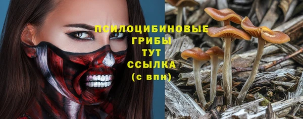 Альфа ПВП Алзамай