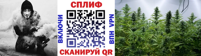 Канабис планчик  Зверево 